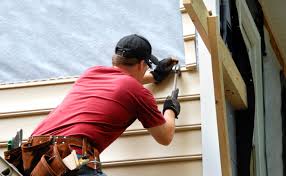 Best Stone Veneer Siding  in , MN